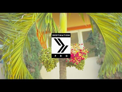 DAN RUFF - YO PALE - FEAT FAMEUSE MAUDE (OFFICIAL VIDEO)