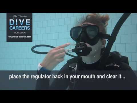 SKILL CIRCUIT REGULATOR RECOVERY