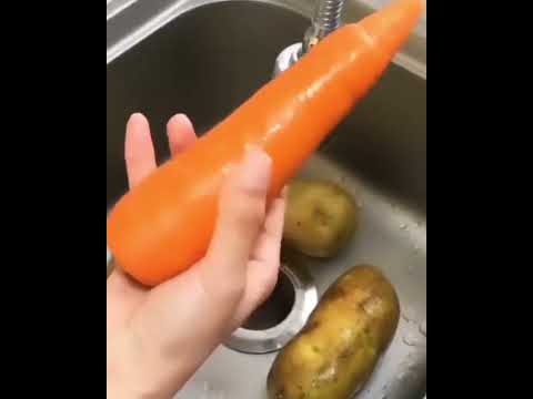 2950 Vegetable Scrubbing Brush, Vegetable Scrubber  Fruit Brush Carrot Shape Vegetable Brush