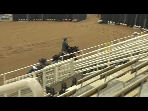 200930 Novice Open Shawn Flarida on Shiney Jersey