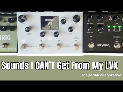 Two Sounds I CAN’T Get from the Meris LVX // #stereo #delay #strymon #shootout #brig #volante