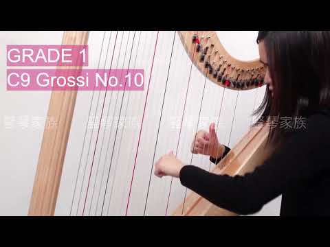 [豎琴家族-荃灣及沙田分店] G1 C9 Grossi No #學豎琴 #豎琴班 #豎琴課程