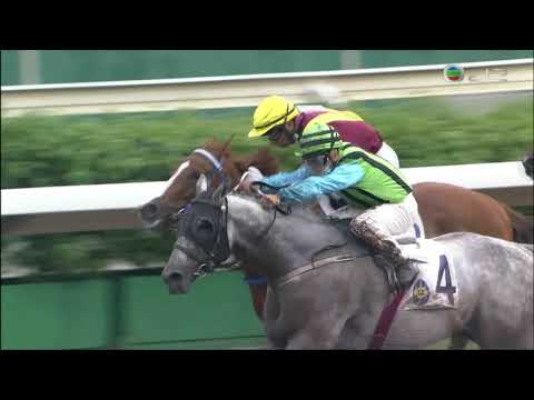 2021/22 (091) - Silver Fig (銀紙) - 潘明輝 (休出特佳後上贏馬)