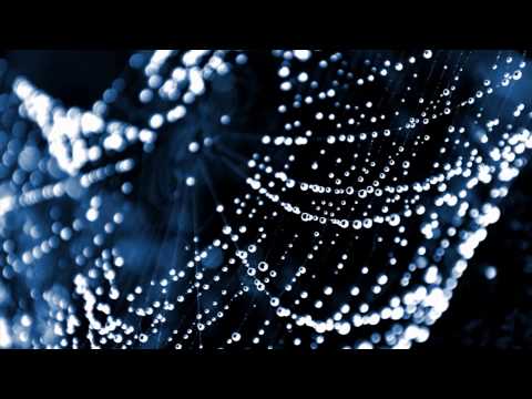 DEN - Aneta Langerová