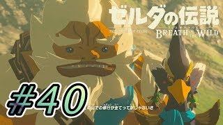 パーヤさんLOVEしちゃってんねぇ  #40【ゼルダの伝説ブレスオブザワイルド実況】