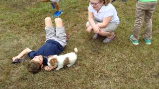 Kids Playing with Puppies from Snow Creek Jack Russell