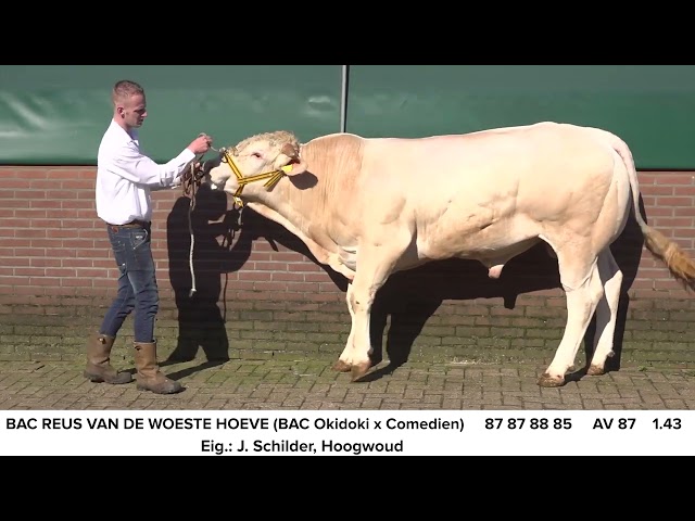 BAC Reus v d Woeste Hoeve