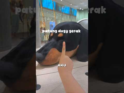 nemu patung anjing yg bisa gerak😱 #viralshort #chachaping #dogshorts