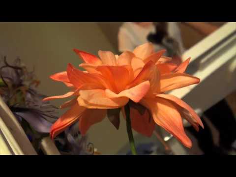 Sala relax Hotel La Campagnola 1926