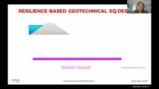 Geo-Structures: Earthquake Engineering Resilience