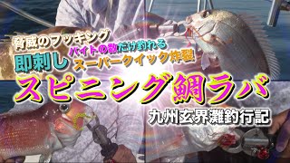 【桜幻】九州玄界灘釣行記【バイトの数だけ掛かる鈎】