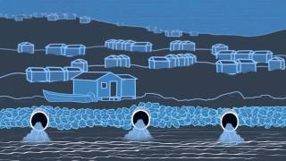 Community Drainage System Planning, Design & Maintenance in Northern Communities.