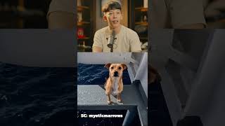 Download lagu kelakuan 4nj1ng mp3