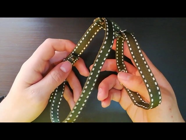 Vídeo relacionado con Roses&Poetry Collar Reflectante para Perro y Correa con Degradado Violeta, Ajustable y Duradera para Perros pequeños (Violeta-S)