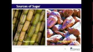 Understanding the Sugar Market
