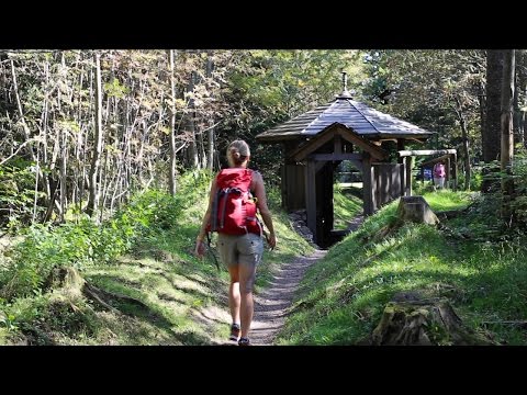 Das ist meine Natur: UNESCO Biosphärenreservat Vessertal - Thüringer Wald