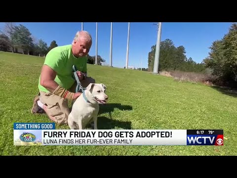 Something Good: Happy go-lucky Furry Friday dog adopted