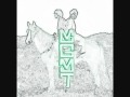 We Don't Care - MGMT 
