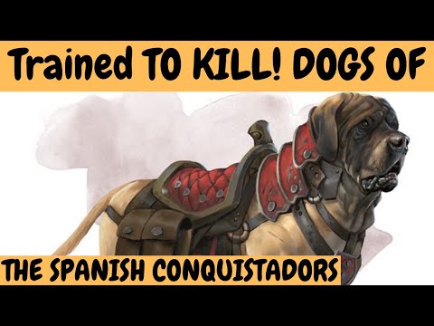 DOGS trained TO KILL -The Brutal Dogs of the Spanish Conquistadors!