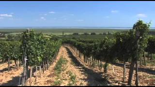 Neusiedler See Vacation Travel Video Guide