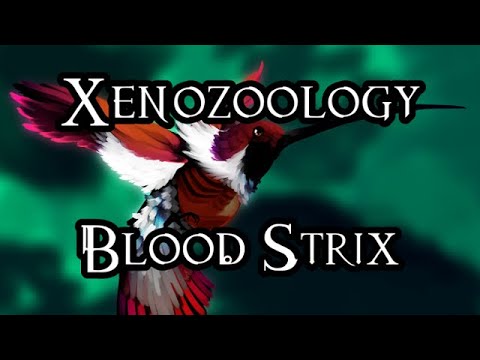 Xenozoology: Blood Strix - 40K Theories