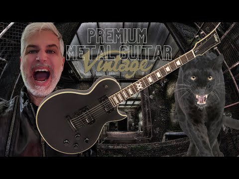 Vintage VMX Series Raider Electric Guitar - Satin Black Only 150 of Each Model Available Worldwide image 9