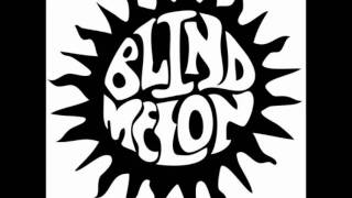 Blind Melon - Holyman