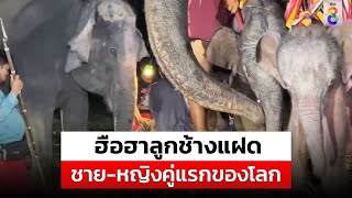 คู่แรกของโลก  คู่แรกของโลก