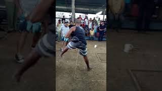 Download lagu tajen bali terkocak mp3 Download lagu tajen bali terkocak mp3