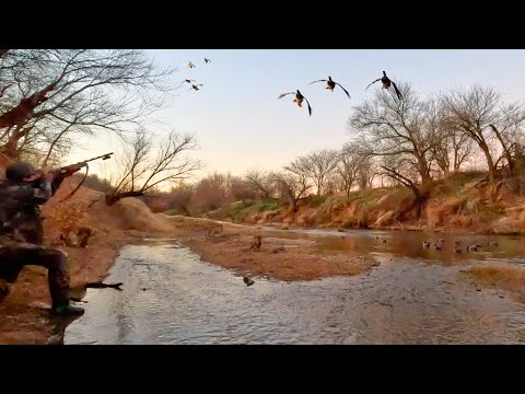Duck Hunting SKINNY WATER | Decoying MALLARDS In A Tiny Creek