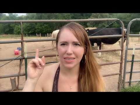 Nonduality: The Internal Struggle