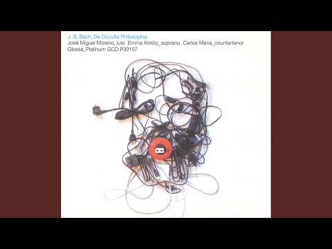 Chaconne-Tombeau, "Christ lag in Todesbanden" (after Violin Partita No. 2 in D Minor, BWV 1004)