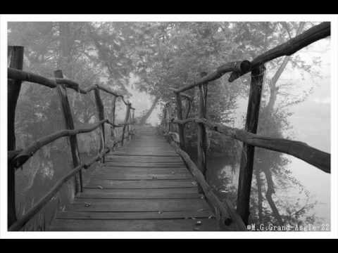 Le petit pont de bois.Yves Duteil