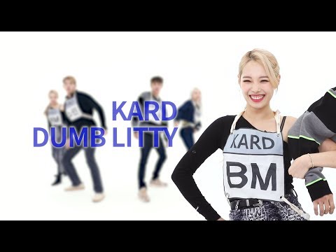 흥이 사람으로 태어나면 이날의 카드(KARD), '덤리티(Dumb Litty)' [파트바꾸기]