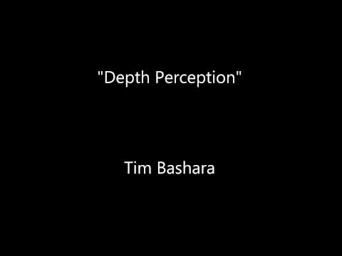 Depth Perception - Tim Bashara