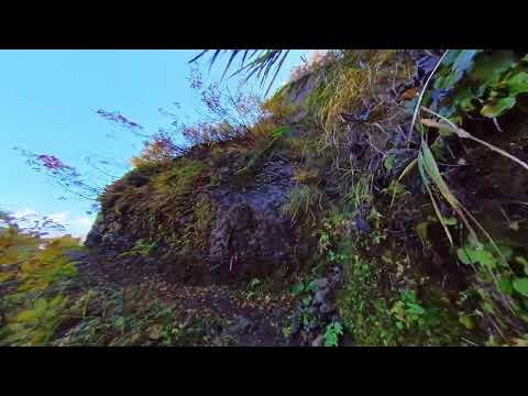 Prefeitura de Niigata Minamiuonuma Vale Uramaki Folhas de outono VID 20231101 110908 00 005