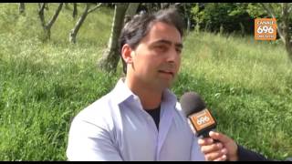 castanicoltura-a-rischio-allarme-per-l-insetto-killer