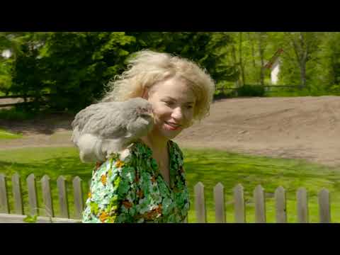 Zagroda edukacyjna w Kamieńcu