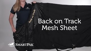 Back on Track Mesh Sheet Review