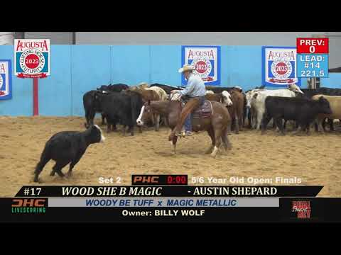 2023 Augusta Futurity - 5/6 Yo Open Champion
