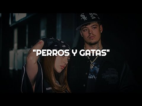 Nicki Nicole, Saiko - PERROS Y GATAS || LETRA