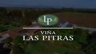Video Viña Las Pitras