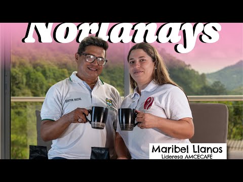 PODCAST Tinteando con Norlandys: conversando con Maribel Llanos, lideresa de AMCECAFÉ