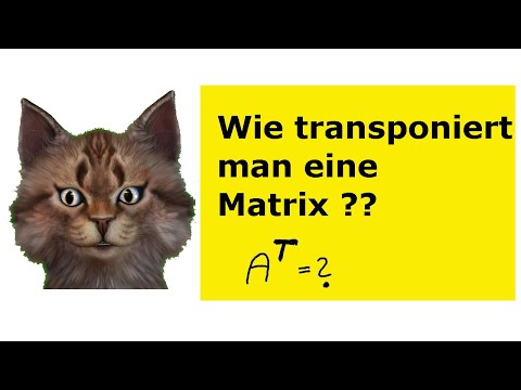 Wie transponiert man eine Matrix ?