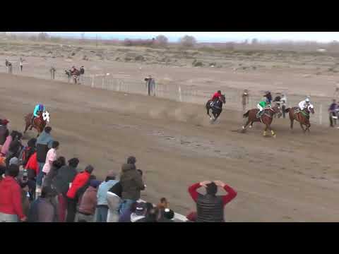 ESCULAPIO  Club Hípico Cabo Alarcón - Picun Leufu - 27/08/2023