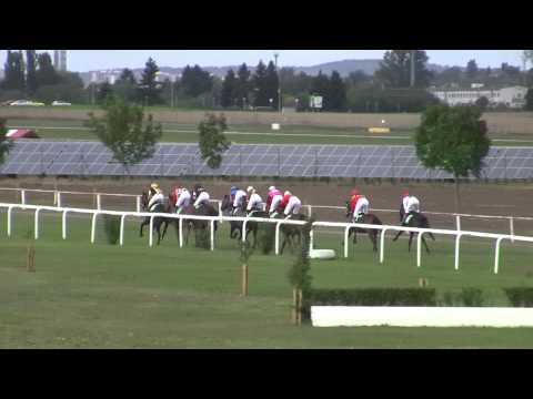 BR, 27. 9. 2015, 4. dostih - Cena Mem.Z.Kalába CENA FIRMY KOMAXIT CZ a SČADJ