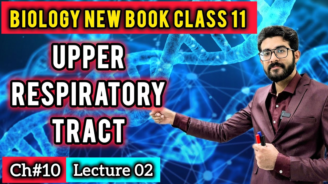 Upper Respiratory Tract Class 11 | Nasal Cavity, Pharynx & Larynx | Biology New Book