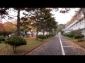 Autumn in Jeju University, Korea... 