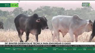 Miniatura do vídeo