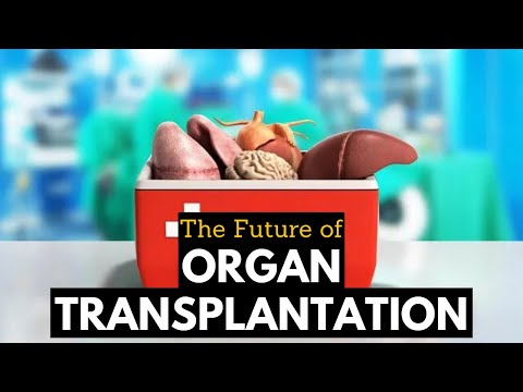 Effects of Cannabis on your body